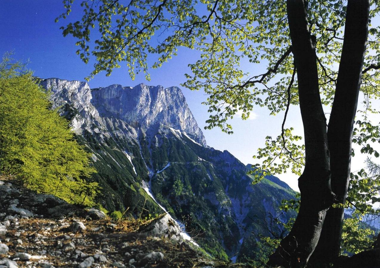 Appartamento Ferienwohung Haus Renn Bischofswiesen Esterno foto