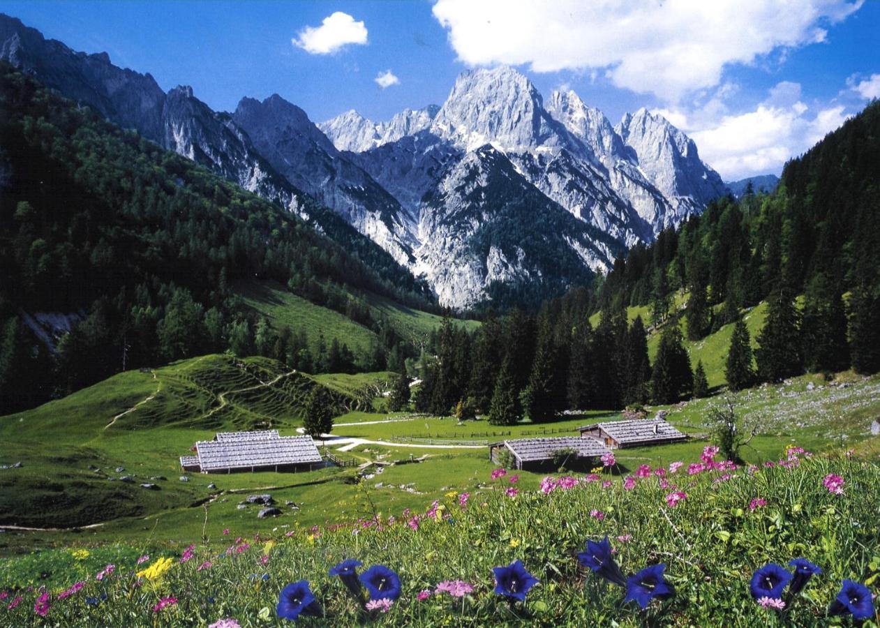 Appartamento Ferienwohung Haus Renn Bischofswiesen Esterno foto